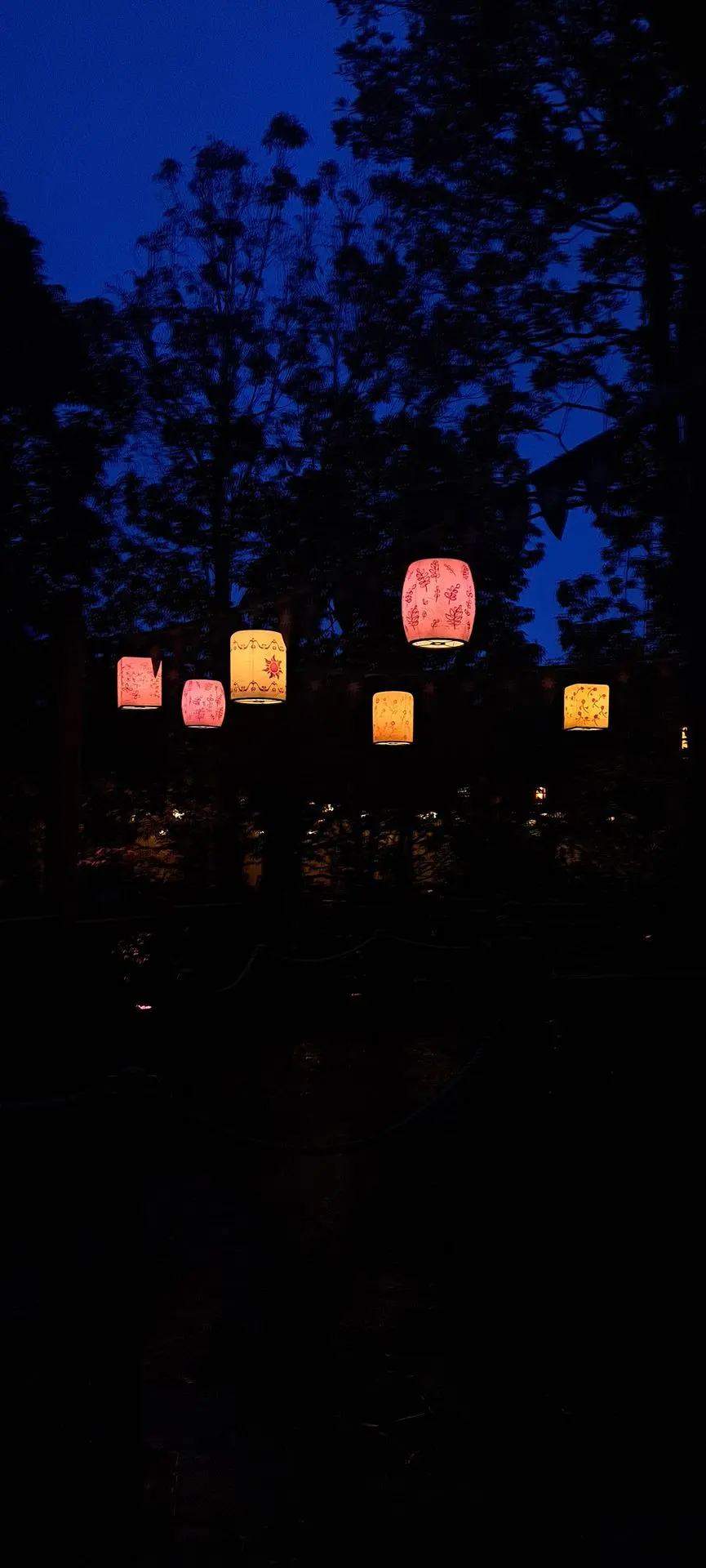 Fantasy Springs Tangled | March 2025